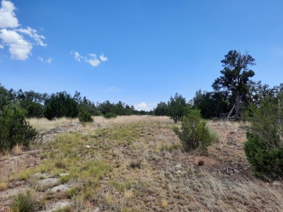 Secluded Northern AZ 2+ acre off grid property - image 8