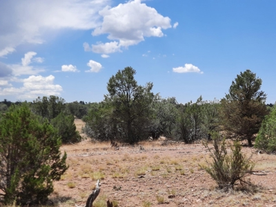 Secluded Northern AZ 2+ acre off grid property - image 3