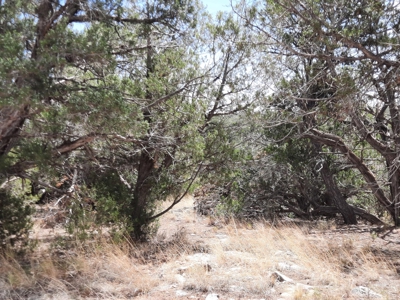 Secluded Northern AZ 2+ acre off grid property - image 4