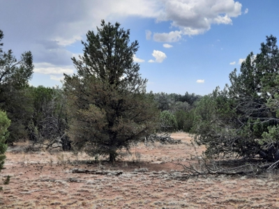 Secluded Northern AZ 2+ acre off grid property - image 1