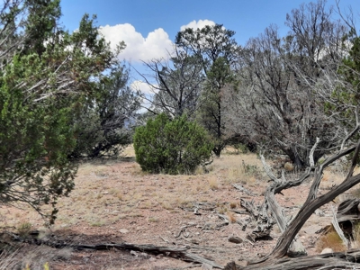 Secluded Northern AZ 2+ acre off grid property - image 5