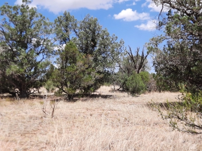Secluded Northern AZ 2+ acre off grid property - image 2