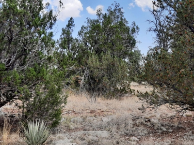 Secluded Northern AZ 2+ acre off grid property - image 7