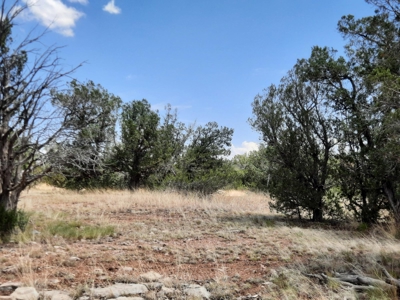 Secluded Northern AZ 2+ acre off grid property - image 6
