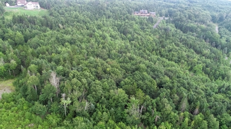 Exclusive Moosehead Lake Region Land for Sale - image 4
