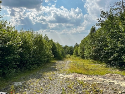 Exclusive Moosehead Lake Region Land for Sale - image 8