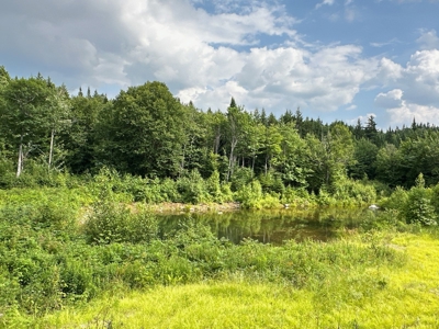 Exclusive Moosehead Lake Region Land for Sale - image 7