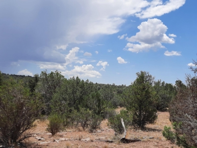 Nice Northern AZ 2+ acres off grid parcel. - image 7