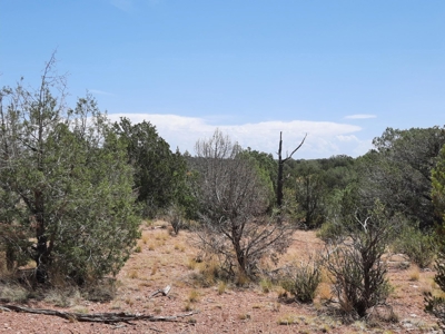 Nice Northern AZ 2+ acres off grid parcel. - image 4