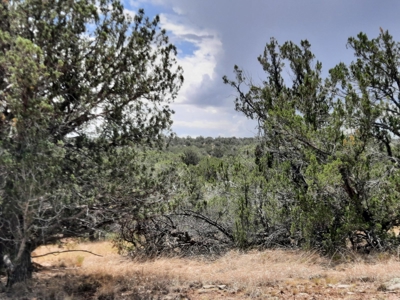 Nice Northern AZ 2+ acres off grid parcel. - image 1