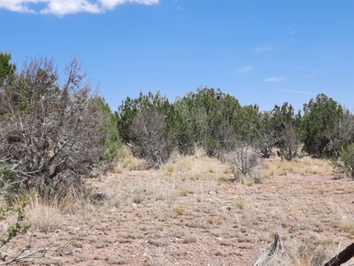 Nice Northern AZ 2+ acres off grid parcel. - image 10