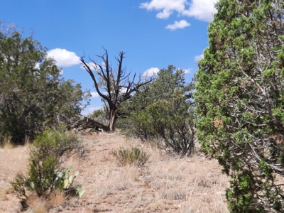 Nice Northern AZ 2+ acres off grid parcel. - image 9