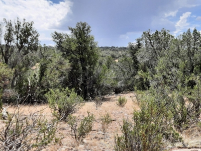 Nice Northern AZ 2+ acres off grid parcel. - image 8
