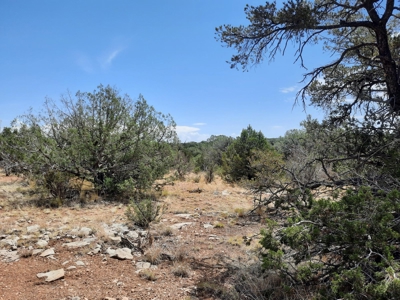 Nice Northern AZ 2+ acres off grid parcel. - image 2