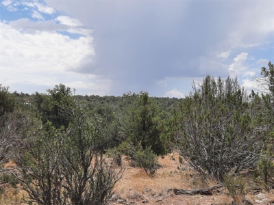 Nice Northern AZ 2+ acres off grid parcel. - image 5