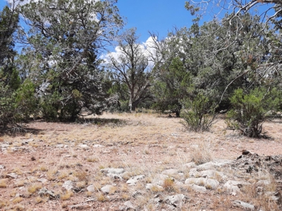 Nice Northern AZ 2+ acres off grid parcel. - image 11