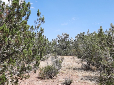 Nice Northern AZ 2+ acres off grid parcel. - image 6