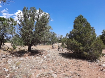 Nice Northern AZ 2+ acres off grid parcel. - image 3