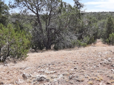 Nice Northern AZ 2+ acres off grid parcel. - image 12