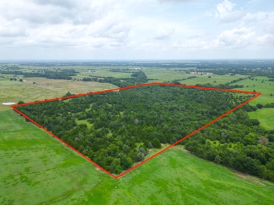 Acreage For Sale in Bryan County, Oklahoma! - image 5