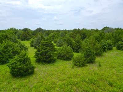Acreage For Sale in Bryan County, Oklahoma! - image 14