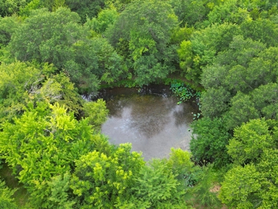 Acreage For Sale in Bryan County, Oklahoma! - image 19