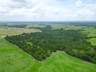 Acreage For Sale in Bryan County, Oklahoma! - image 7