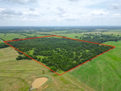 Acreage For Sale in Bryan County, Oklahoma! - image 9