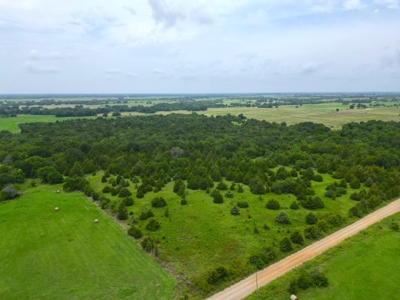 Acreage For Sale in Bryan County, Oklahoma! - image 12