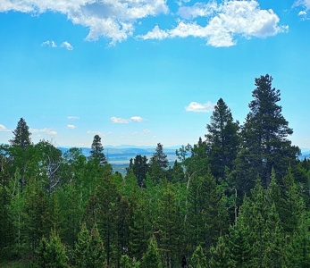 Mountain Home in Fairplay, Colorado For Sale! - image 6