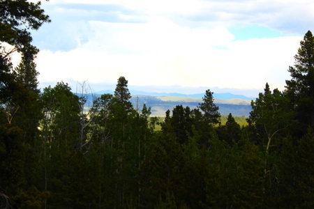 Mountain Home in Fairplay, Colorado For Sale! - image 1