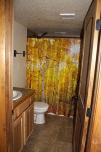 Mountain Home in Fairplay, Colorado For Sale! - image 16