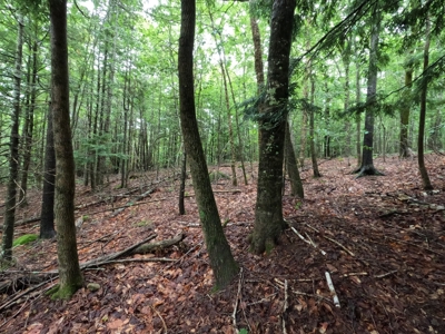 5± Acres of Land | Maine Real Estate - image 9
