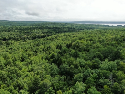 5± Acres of Land | Maine Real Estate - image 1