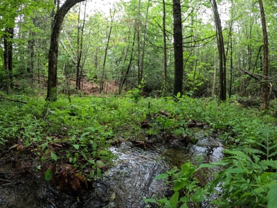 5± Acres of Land | Maine Real Estate - image 6