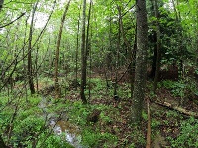 5± Acres of Land | Maine Real Estate - image 7