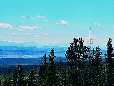 Mountain Home in Fairplay, Colorado For Sale! - image 1
