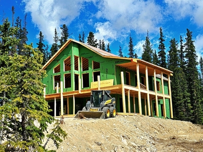 Mountain Home in Fairplay, Colorado For Sale! - image 2
