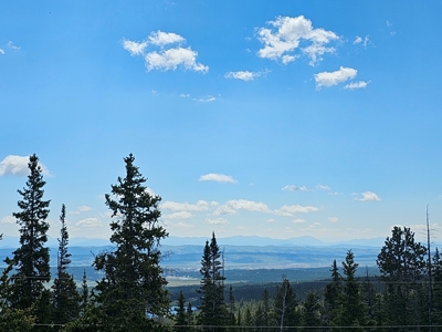 Mountain Home in Fairplay, Colorado For Sale! - image 4
