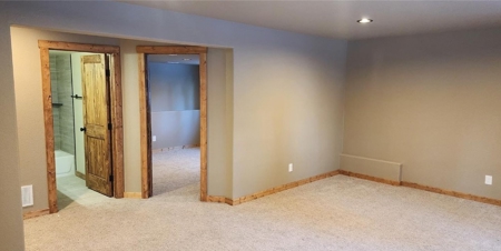 Mountain Home in Fairplay, Colorado For Sale! - image 20