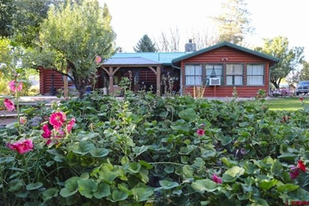 Ranch For Sale in Colorado Horse Property and Rental Cabins - image 1