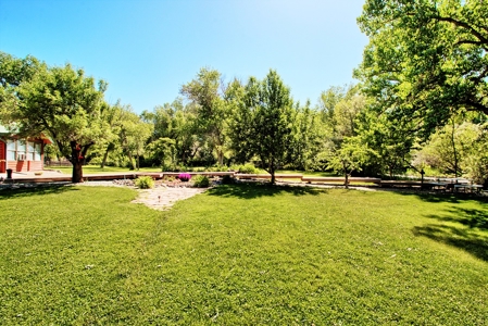 Ranch For Sale in Colorado Horse Property and Rental Cabins - image 13