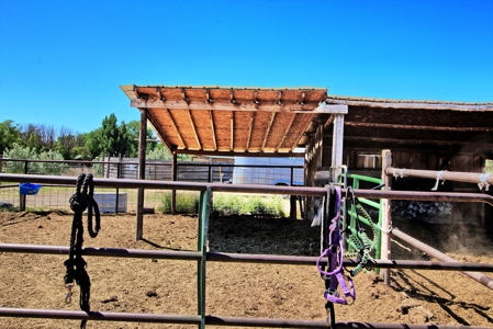 Ranch For Sale in Colorado Horse Property and Rental Cabins - image 27