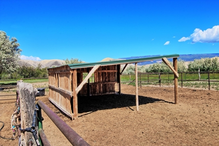 Ranch For Sale in Colorado Horse Property and Rental Cabins - image 26
