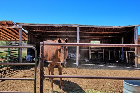Ranch For Sale in Colorado Horse Property and Rental Cabins - image 28