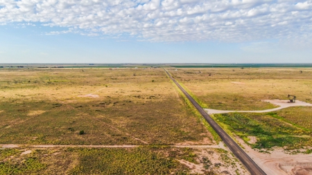 200.38+/- Acre CRP Tract in Hockley County - image 8