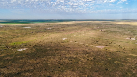 200.38+/- Acre CRP Tract in Hockley County - image 15