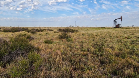 200.38+/- Acre CRP Tract in Hockley County - image 13