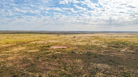 200.38+/- Acre CRP Tract in Hockley County - image 20