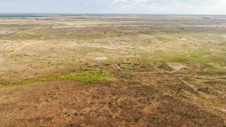 200.38+/- Acre CRP Tract in Hockley County - image 2